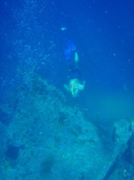 BVI isole Vergini in barca a vela