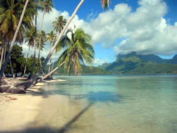 Catamarano Polinesia Raiatea