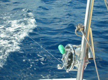 Catamarano Polinesia Raiatea