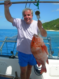 seychelles snapper